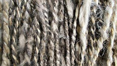 Schaapscheerdersfeest Schaapscheerdersfeest