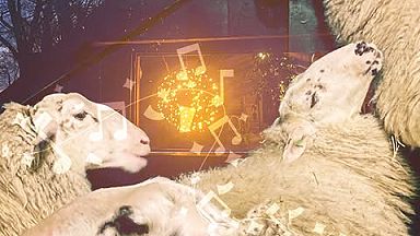 Sfeer bij de kooi Sfeer bij de kooi